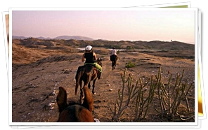 Horse Safari in Rajasthan