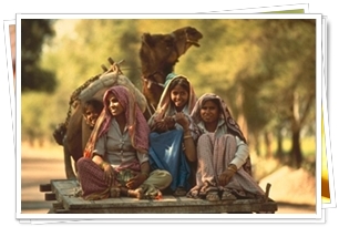 rural transport in Rajsthan