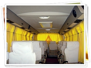 Mini coach