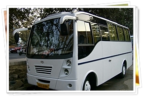 Mini Coach