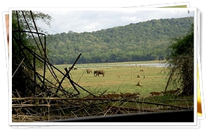Nagarhole National Park, Karnataka
