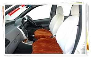 Tata Indigo Car