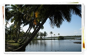 Classic Kerala