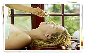 Kerala Ayurveda Tours 
