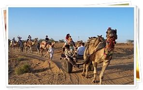 Camel Safari at Pushkar