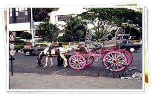 Rikshaw Ride in Mumbai
