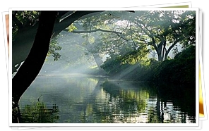 Alleppey, Kerala