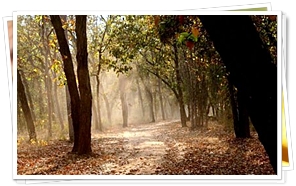 Bhandavgarh National Park, Madhya Pradesh