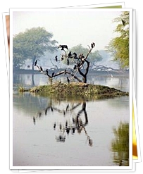 Bharatpur National Park