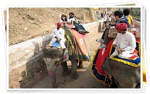 Elephant Ride at Amber Fort, Jaipur