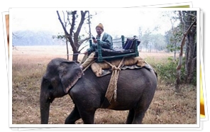Elephant Safari at Corbet National Park