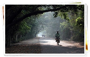 Bharatpur Bird Sanctuary