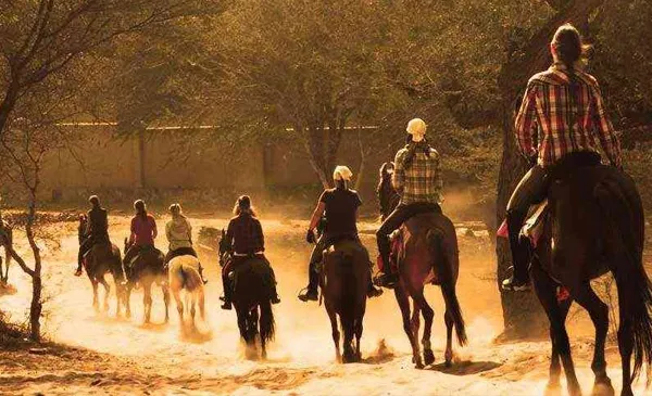 Horse Safari Rajasthan Tour