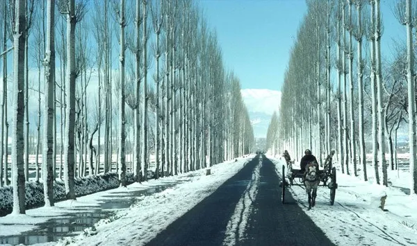 Srinagar Gulmarg Srinagar