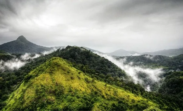 Kerala Mountain Tour