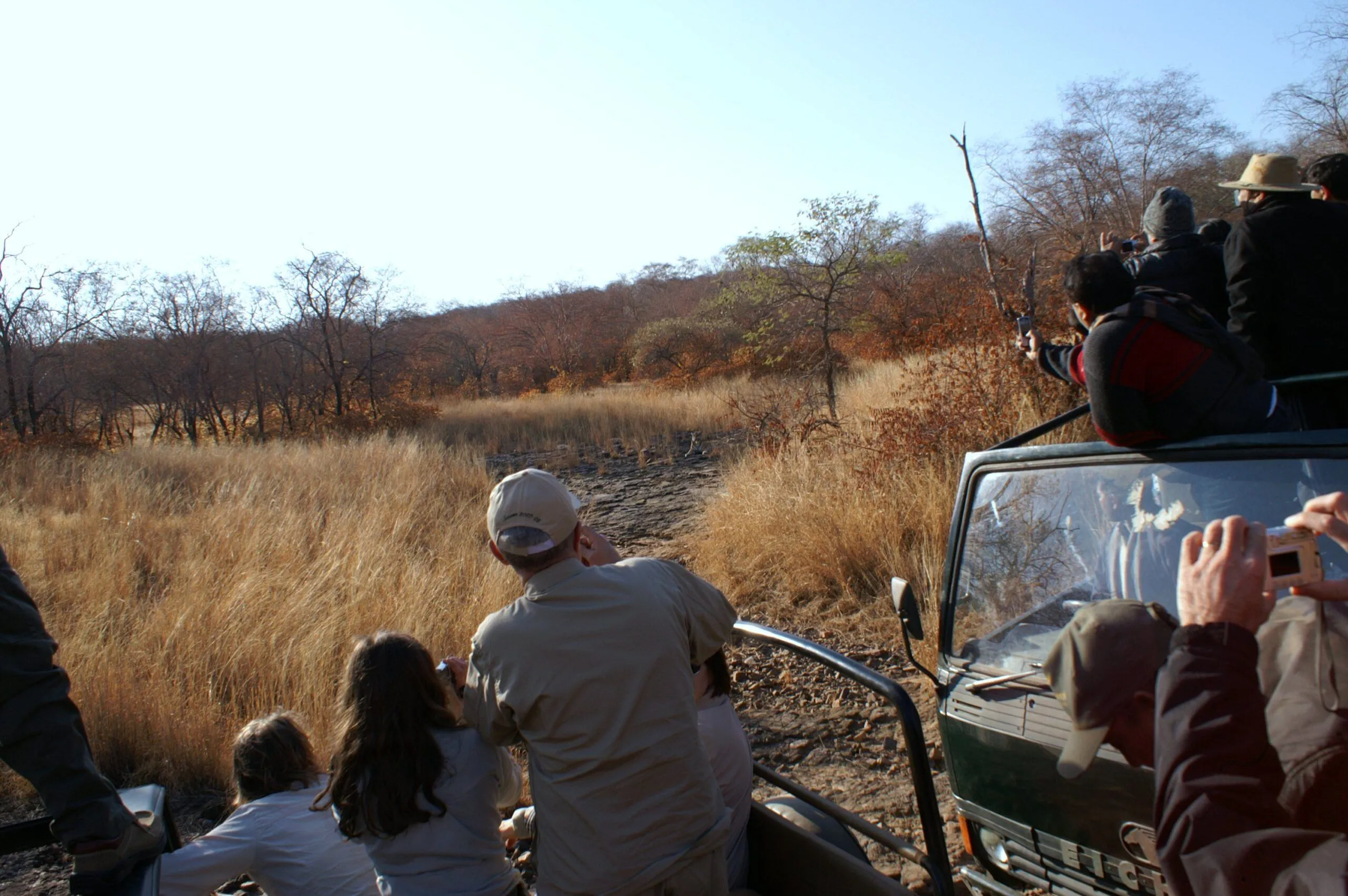 Ranthambore National Park safari jeep spotting Bengal tiger in Rajasthan