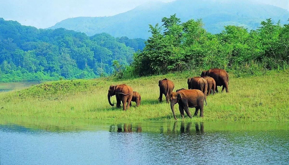 Kerala Wildlife Tour