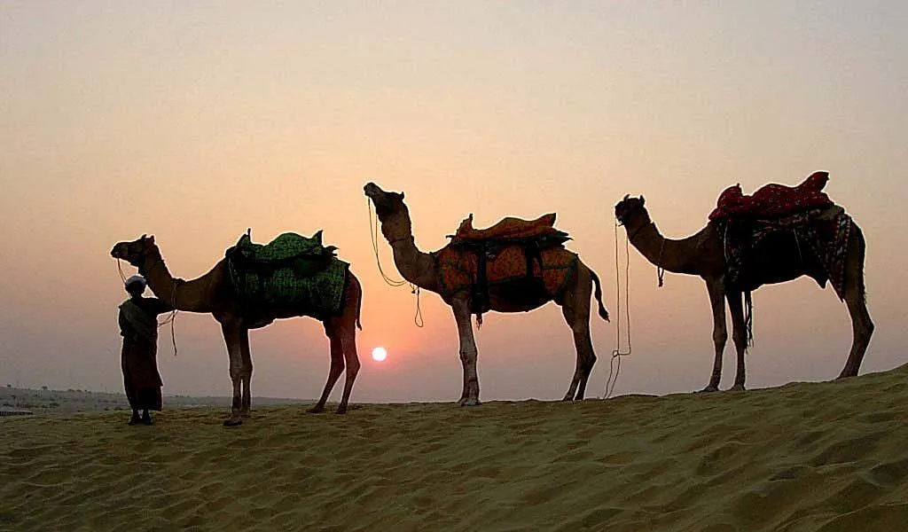 Splendid Rajasthan Tours
