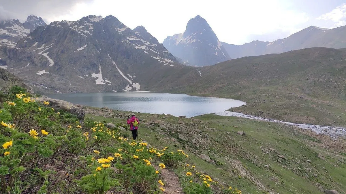 Scenic view of Pahalgam valley in Kashmir with lush green meadows, Lidder River, and Himalayan mountain backdrop