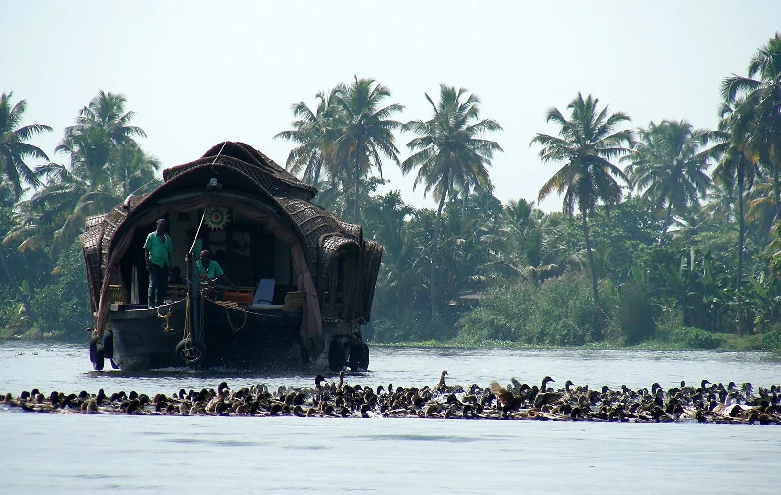 Alleppey backwaters houseboat cruising through narrow canals, coconut trees, paddy fields and scenic Kerala village waterways