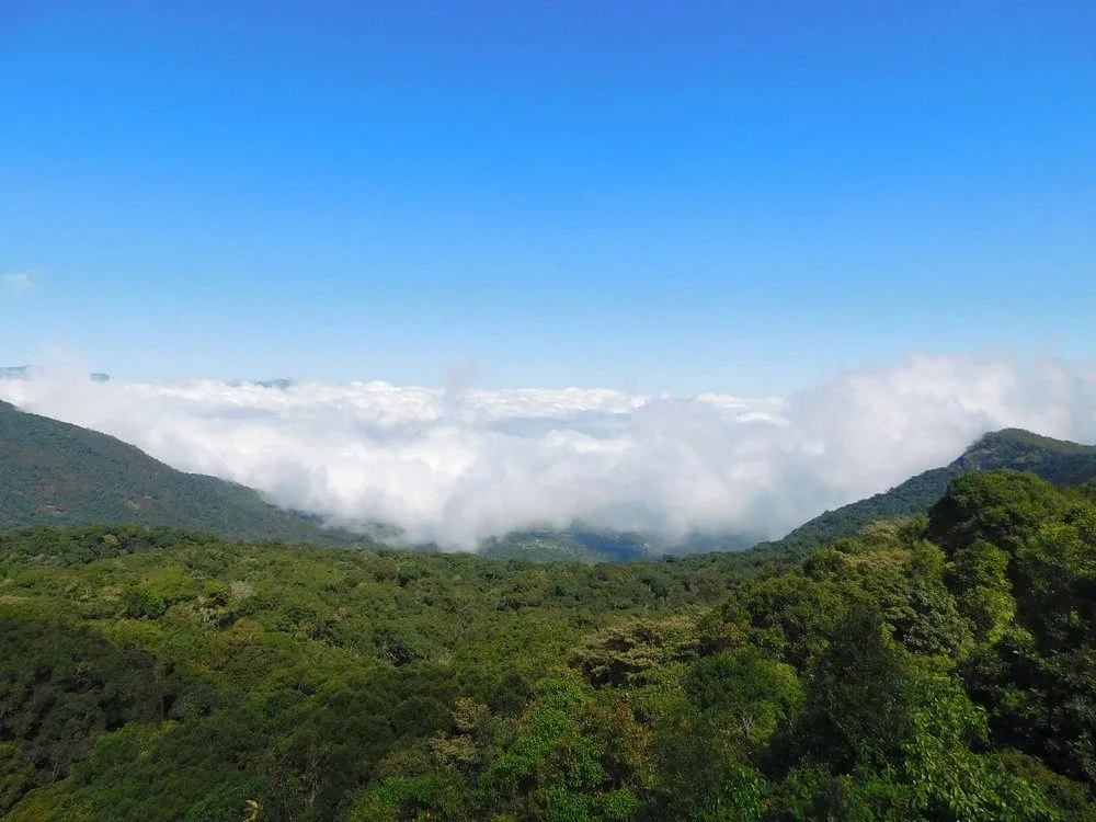 Anamudi Peak rising above mist-covered hills in Munnar Western Ghats