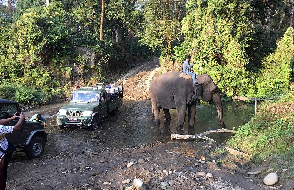 Chitwan National Park jungle safari with elephants and wildlife Nepal