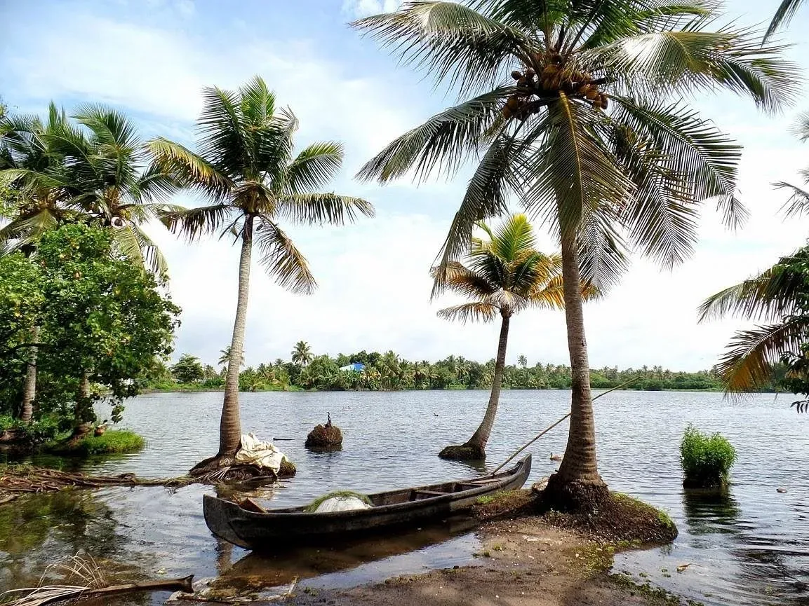 Kottayam backwaters with scenic Kerala village canals, coconut trees, and traditional boat cruise in peaceful lake surroundings