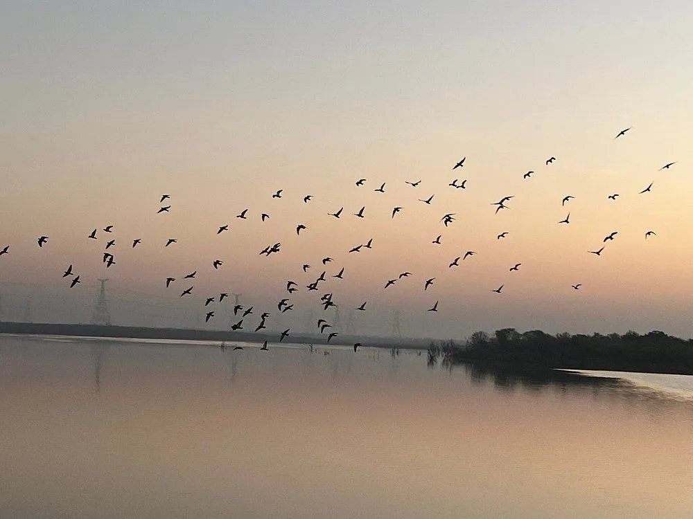 Chhatra Sagar Nimaj lake view with luxury tents overlooking the reservoir and surrounding countryside in Rajasthan