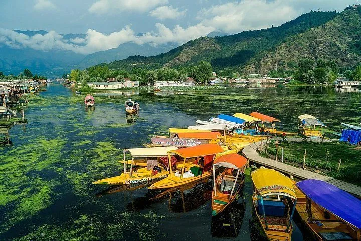 Traditional shikaras floating on Dal Lake in Srinagar with Himalayan mountains in the background
